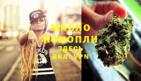 spice Богородицк